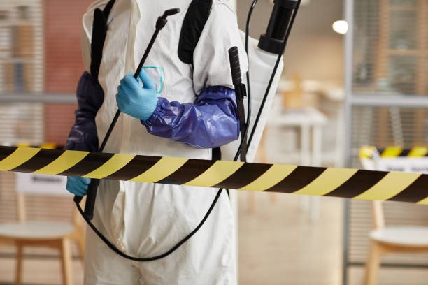 Professional Hoarding Cleanup technician working in Angelus Oaks, CA